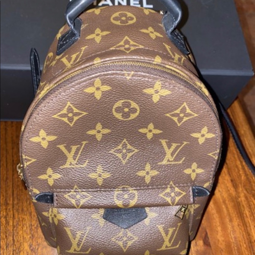 Louis Vuitton Palm Springs mini backpack - Picture 11 of 16